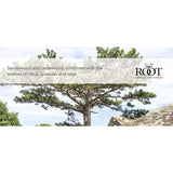 Root Candles Scented Candles Honeycomb Veriglass Premium Handcrafted Beeswax Blend Candle, Large, Japanese Cedarwood