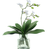 Artificial Green Phalaenopsis Simulation Moth Orchid Leaf Real Latex Touch Green Plant For Flowers Garden Bonsai Decor (5, 9.5"/5 Leaves)