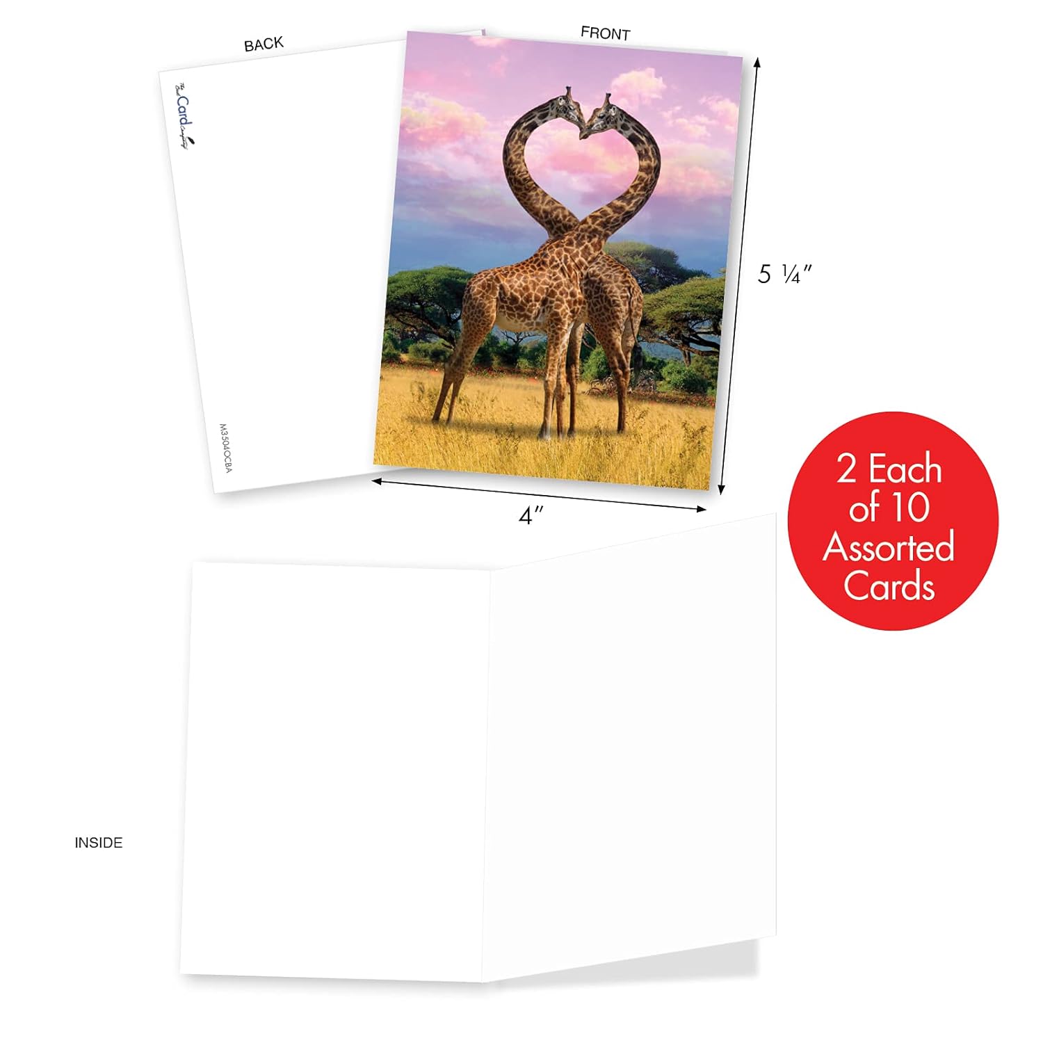 - 20 Assorted Bulk Animal Cards Boxed (4 X 5.12 Inch) (10 Designs, 2 Each) - Loving Animals Am3504Ocb-B2X10