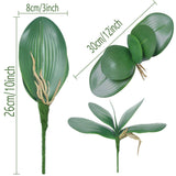 10 Pcs Artificial Phalaenopsis Orchids Leaves 11 Inches Green Faux Orchids Leaf (10 Pcs)