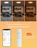 12 Inch Smart Ceiling Light White RGB Dimmable Alexa Google Fixture