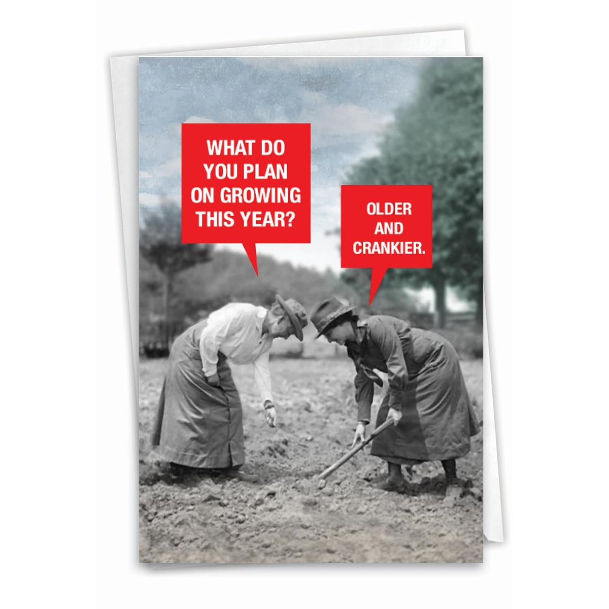- 1 Hilarious Happy Birthday Card - Funny Aging Old Folks Humor, Celebrate Birthdays - Older And Crankier C9362Bdg