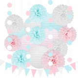 White Blue Pink Party Decorations - 17pcs Tissue Paper Flowers Pom Poms Lanterns Gender Neutral Baby Gender Reveal Party Supplies Gender Reveal Theme Decor Birthday Hanging Decor Ideas