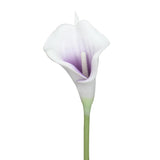 20Pcs Calla Lily Bridal Wedding Bouquet Lataex Real Touch Artificial Flower Home Party Decor (Purple In White)