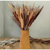 Dried Flowers Bouquet Dried Pampas Grass Bouquet Natural Flower Arrangements Home Decor