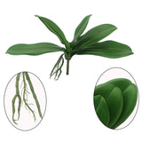 Artificial Green Phalaenopsis Simulation Moth Orchid Leaf Real Latex Touch Green Plant For Flowers Garden Bonsai Decor (5, 9.5"/5 Leaves)