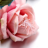 3200Pcs Artificial Matte Flower Stamen, 8 Colors Mini Flower Double Heads Pistil, Diy Floral Craft