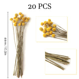 Billy Balls 20 Pcs Golden Ball Flower Bouquet - Dried Craspedia Globosa For Diy Crafts, Wreaths, Home Decor, Cake Decor, Wedding Decor, Party Centerpieces