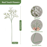 36 Pcs Babys Breath Artificial Flowers, Baby Breath Flowers Artificial Bulk Long Stem Fake Babies Breath Faux Gypsophila White Flowers Artificial For Decoration Wedding Decor