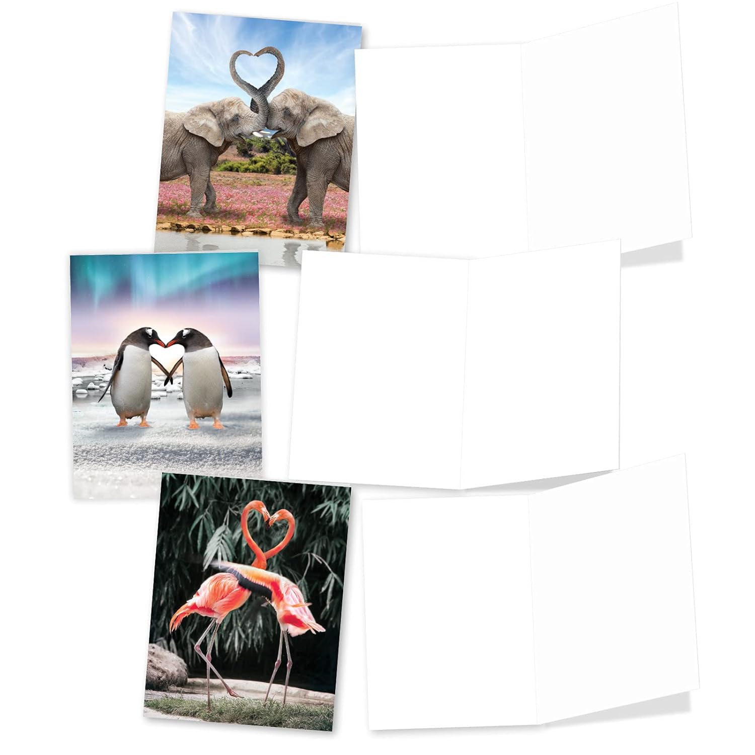 - 20 Assorted Bulk Animal Cards Boxed (4 X 5.12 Inch) (10 Designs, 2 Each) - Loving Animals Am3504Ocb-B2X10