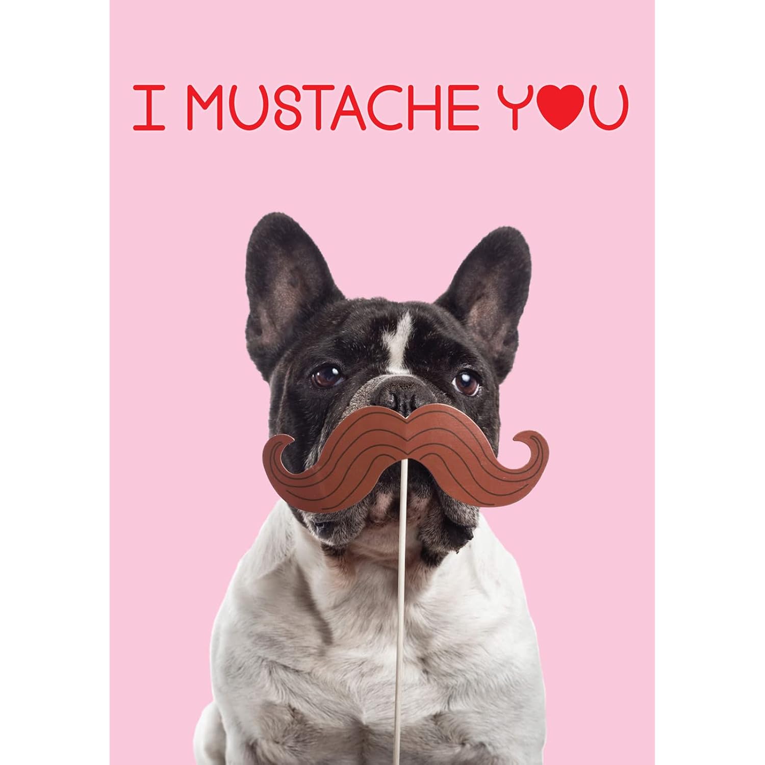 I Mustache You: Will You Be My Valentine Card With Greeting Card Mailing Envelope