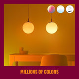 PAR38 Smart LED Bulbs 6 Pack 120W Equivalent Color Changing WiFi Outdoor Indoor E26 Alexa Google Siri