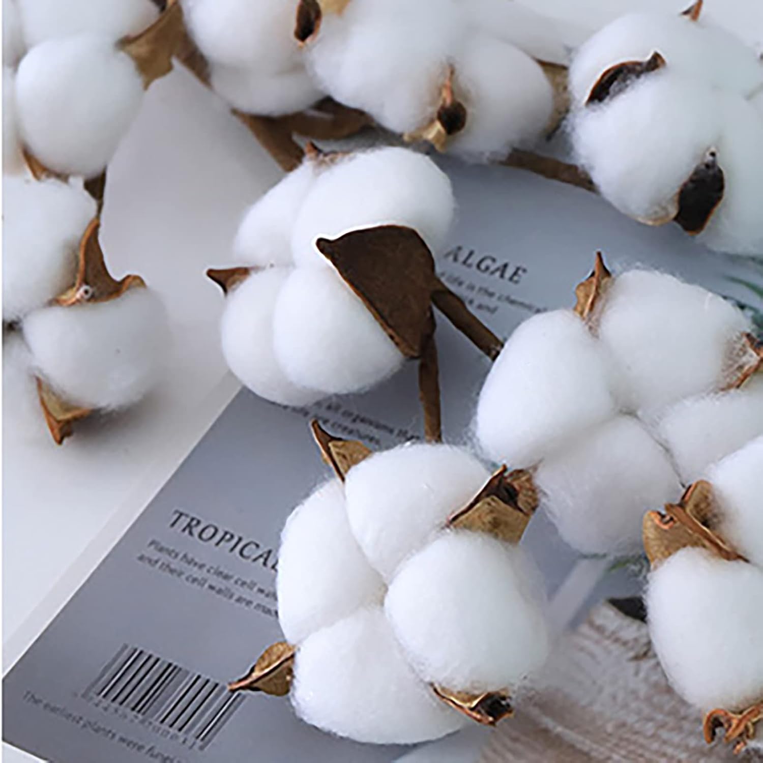5 Pack Cotton Stems, 50Pcs Cotton Flower Bolls, 20 Inch Cotton Branch, Natural Cotton Floral Plant Stick For Farmhouse Decor, Vase Fillers