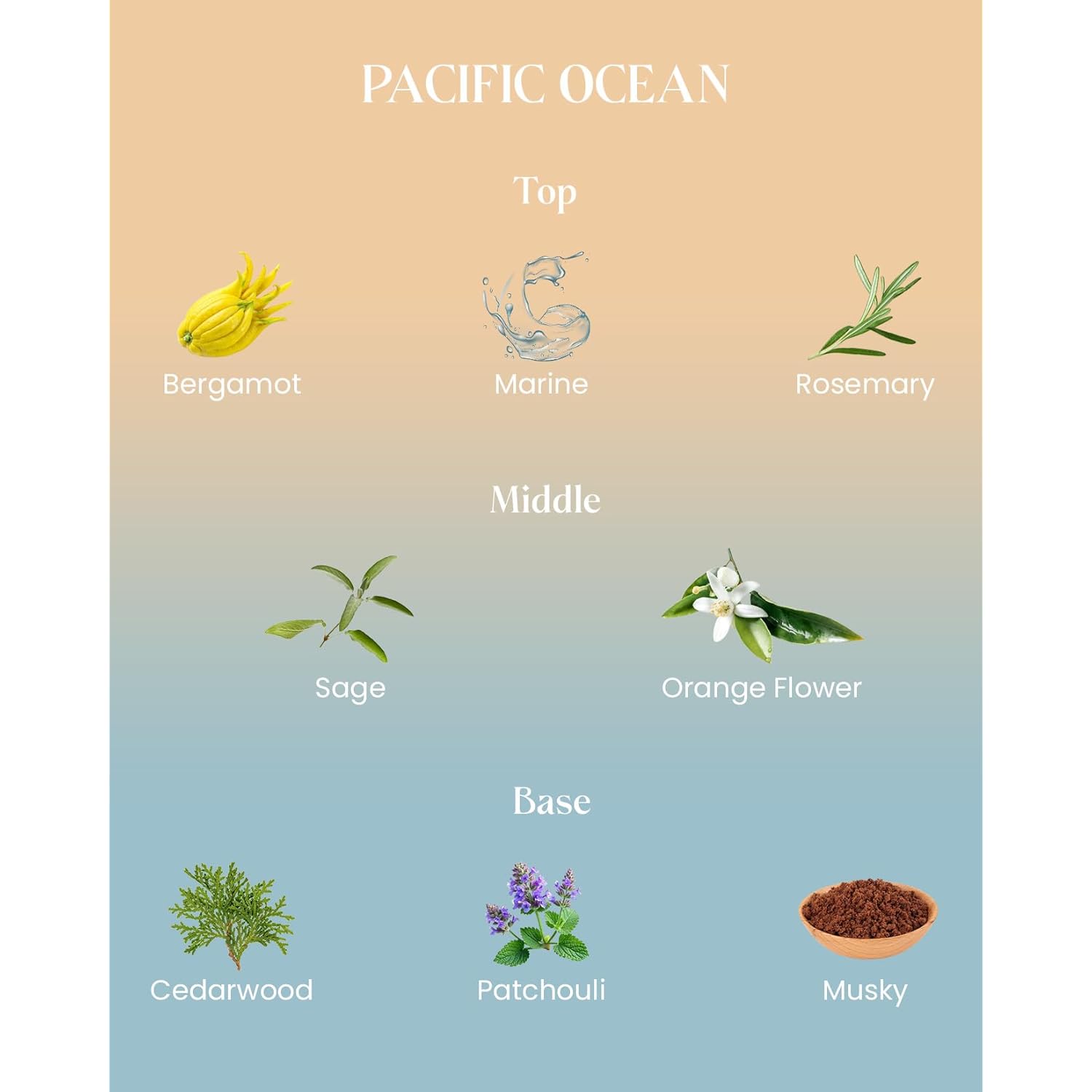 10.6Oz Summer Ocean Scented Candle For Home All Natural Soy Wax 60-Hour Slow Burning Non Toxic Aromatherapy Candle For Home Office Luxury Gifts For Teachers Family Friends