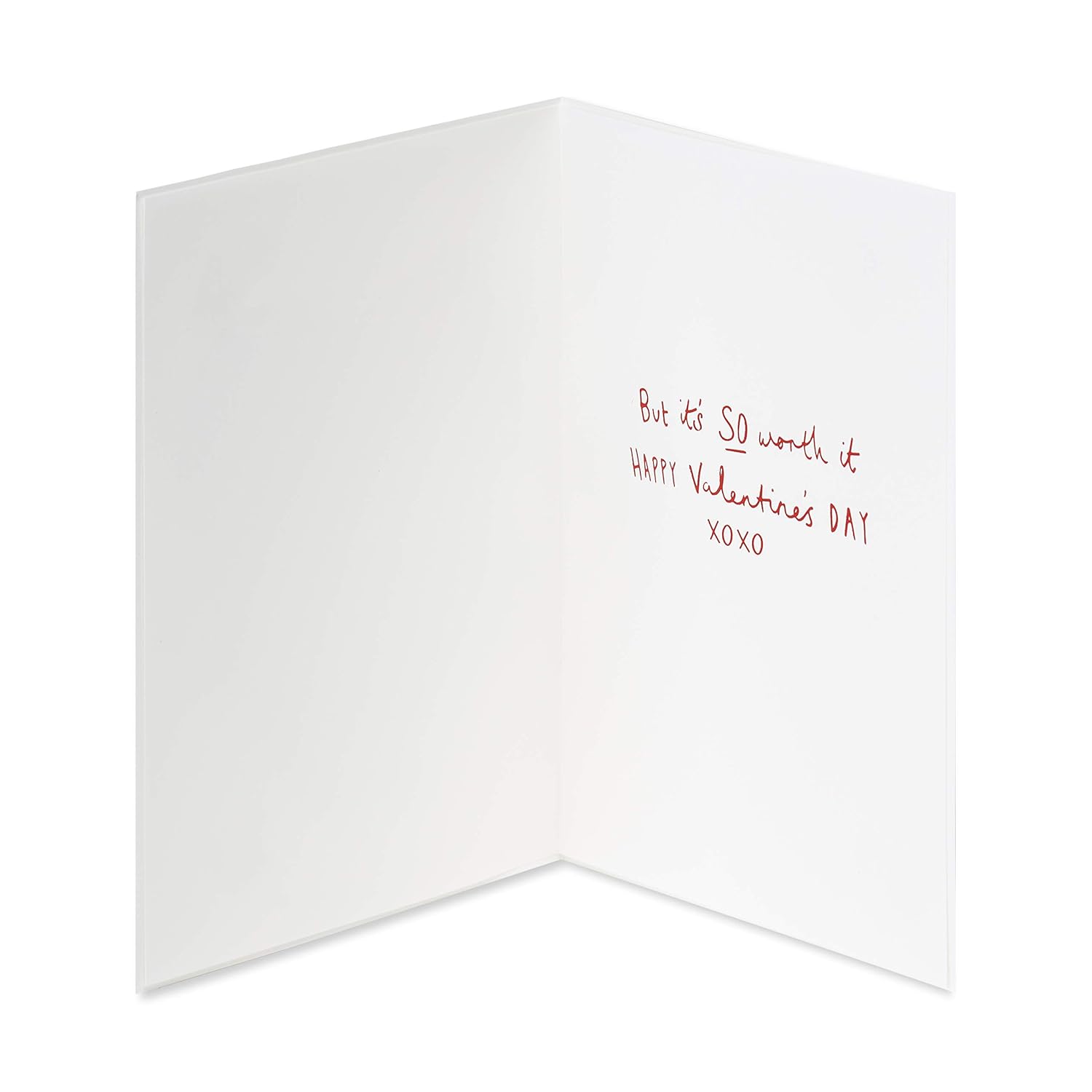 Funny Valentines Day Card (So Worth It)