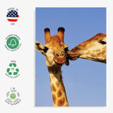 Adorable Giraffe Greeting Card – Romantic & Funny For Love, Friendship, Birthdays & Anniversaries - Larger Size 5X7- Blank Inside For All Occasions - For Nature & Animal Lovers - Wildlife Photography