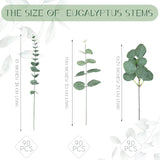 270 Pcs 3 Kinds Mixed Eucalyptus Leaves Stems Bulk Artificial Silver Dollar Leaves Picks Dried Eucalyptus Bundle Faux Spray For Wedding Vase Bouquet Floral Arrangement (Green)