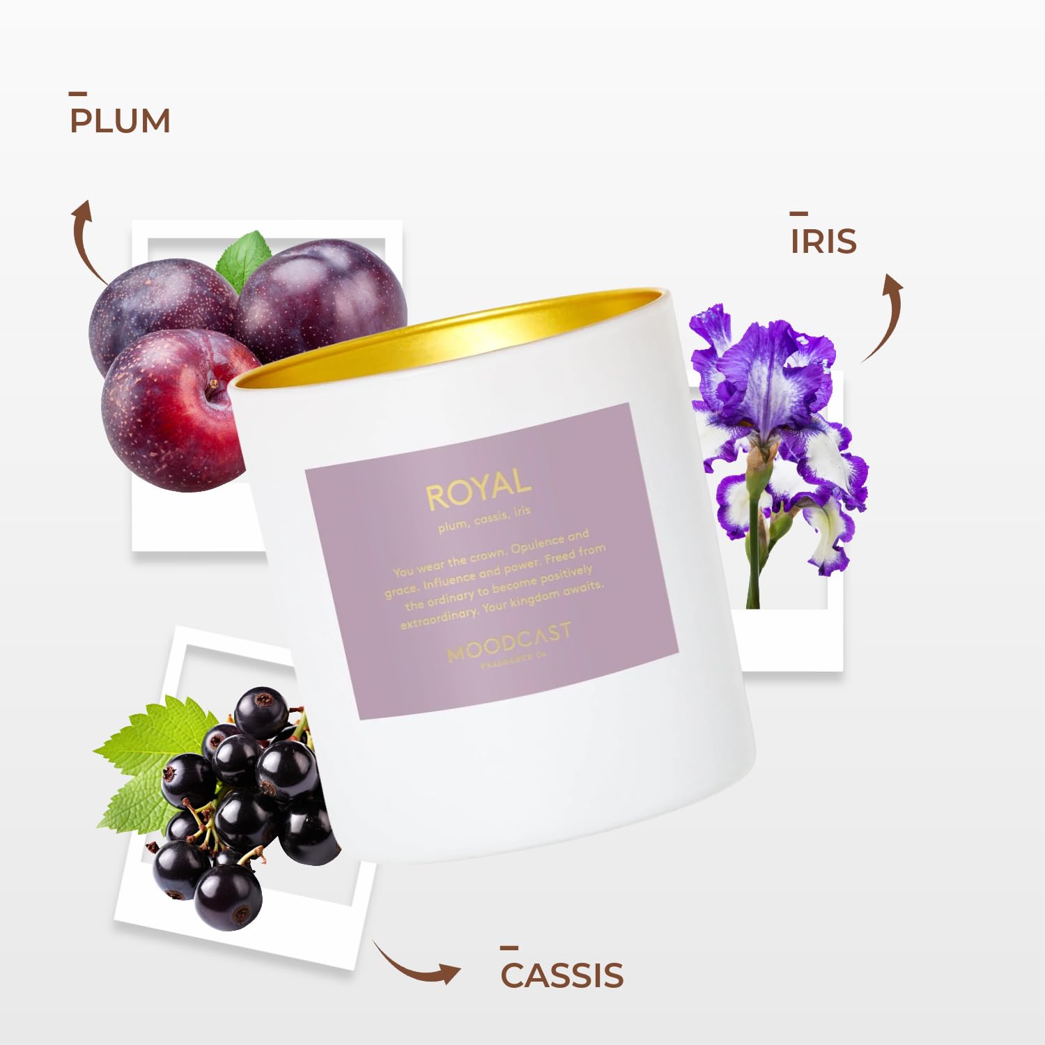 Royal Scented Candle - Aesthetic Candle For Home, Plum, Cassis & Iris, Clean Coco Wax Blend, Vegan, Paraben Free, 45-Hour Long Lasting Burn - 8Oz