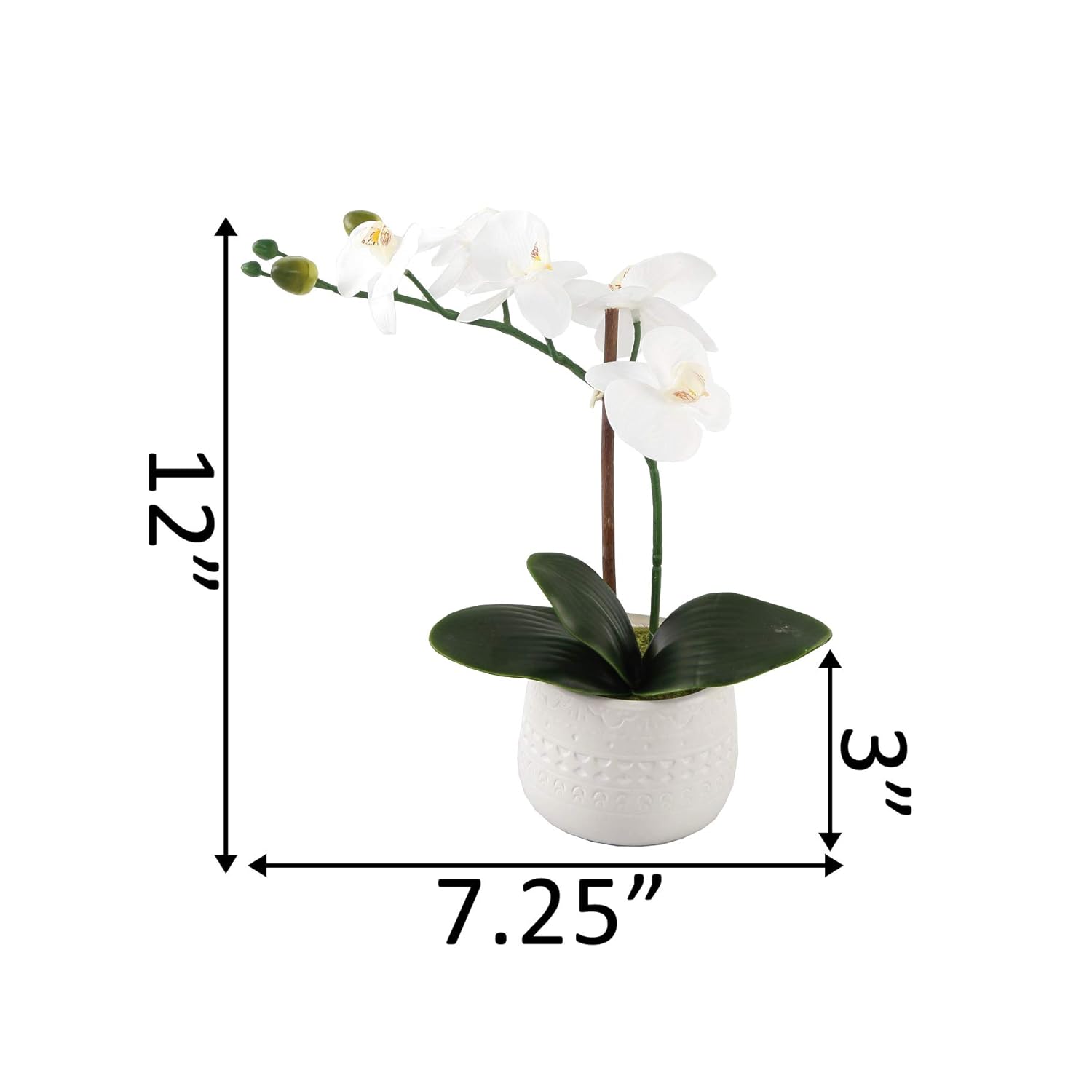 Artificial Flower 12 In H Real-Touch Orchids In 3.5" Mayan Ceramic Pot,Matte White