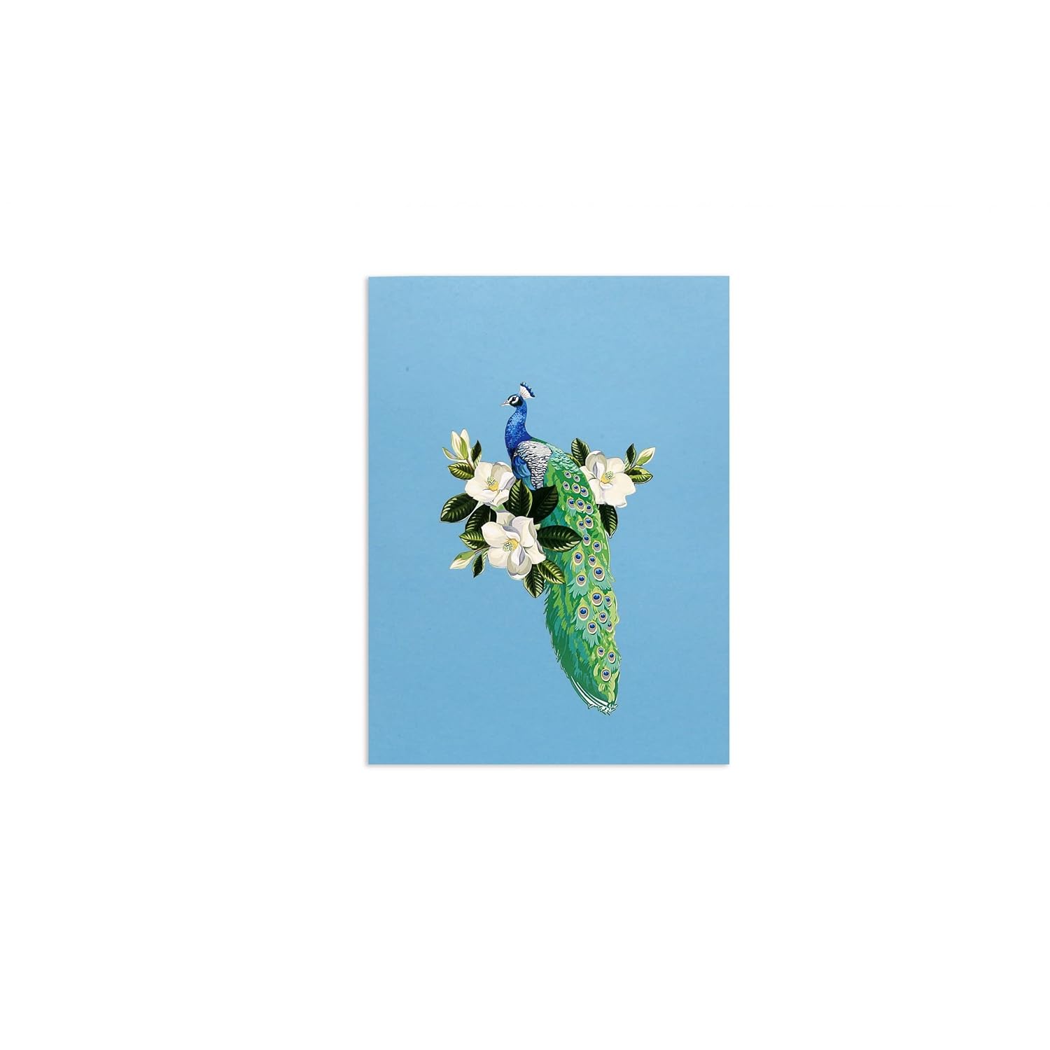 Elegant 3D Peacock Pop-Up Card – Handmade Greeting Card With Floral Perch & Vibrant Feathers – Perfect For Birthdays, Anniversaries, Thank You Notes & Special Occasions, A22