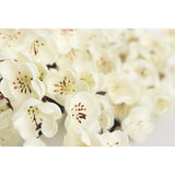 5 Pcs Artificial Plum Blossom Fake Wintersweet Long Stem Plastic Flowers Home Hotel Office Wedding Party Garden Decor 27.5'' High White