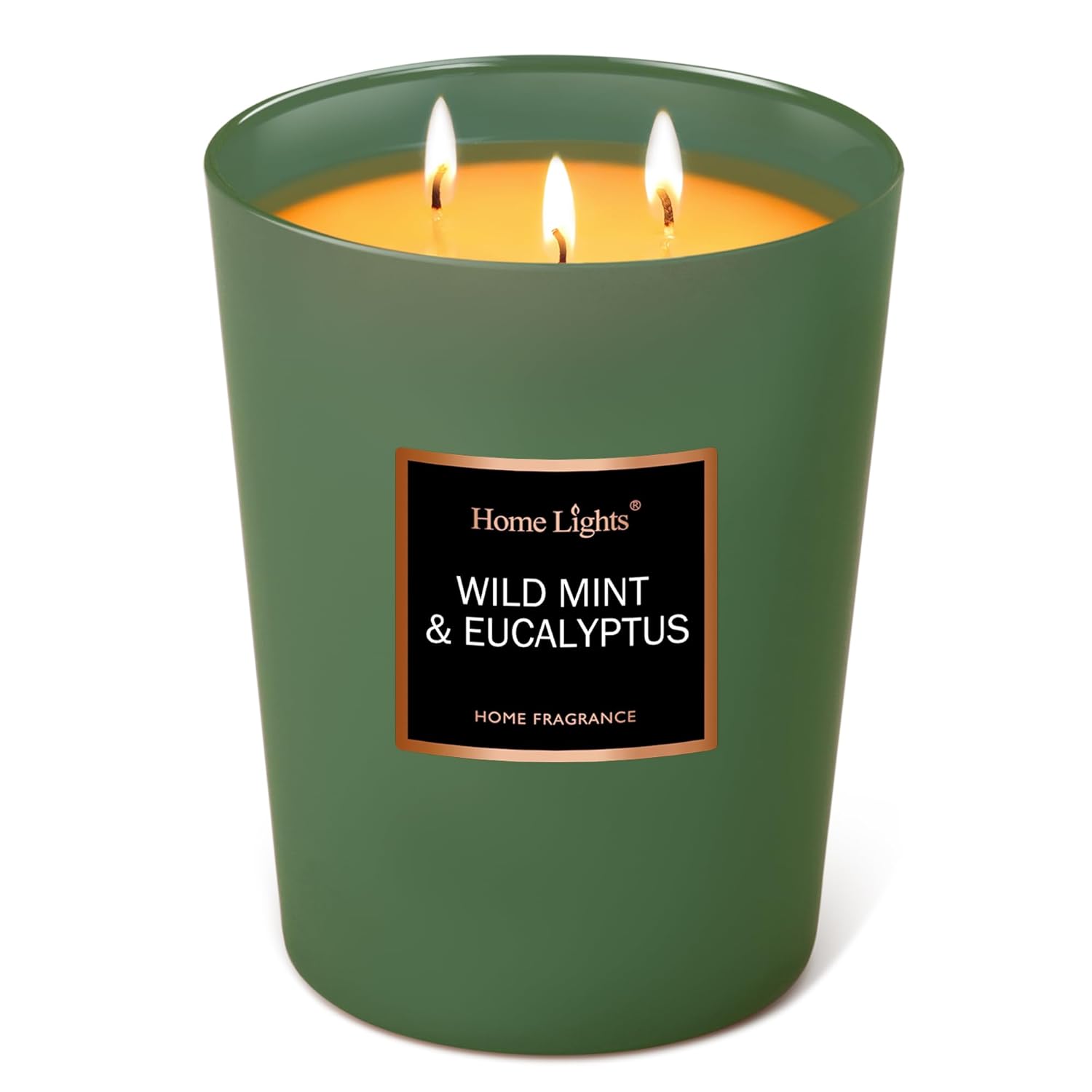 Homelights Scented Candles - Large Jar Aromatherapy, Natural Soy Wax, 130 Hour Long Burning, Wild Mint & Eucalyptus