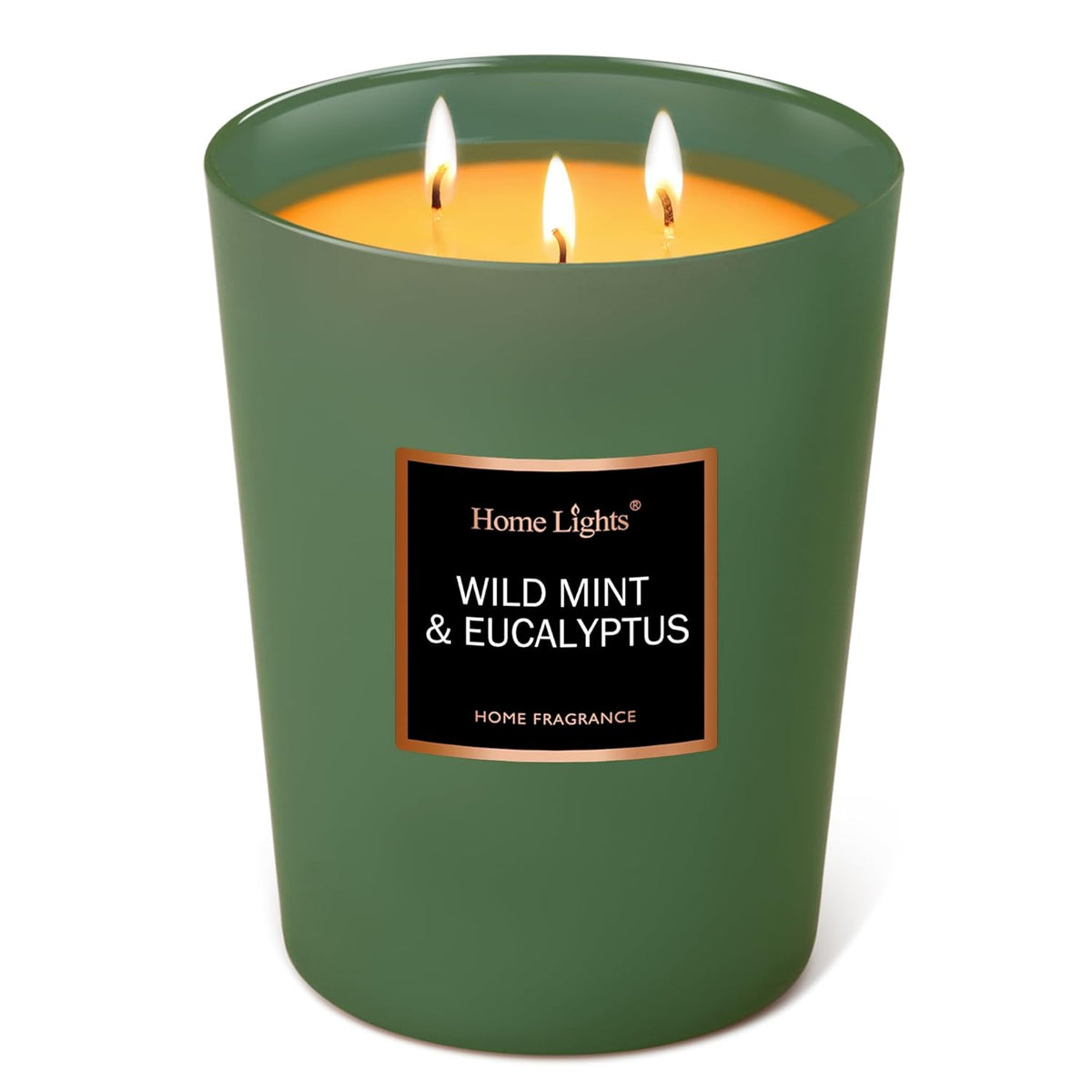 Homelights Scented Candles - Large Jar Aromatherapy, Natural Soy Wax, 130 Hour Long Burning, Wild Mint & Eucalyptus