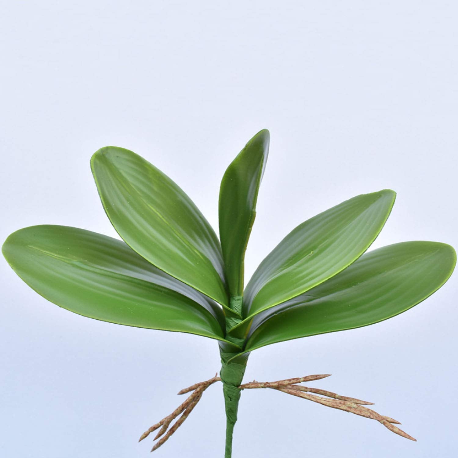 10 Pcs Artificial Phalaenopsis Orchids Leaves 11 Inches Green Faux Orchids Leaf (10 Pcs)