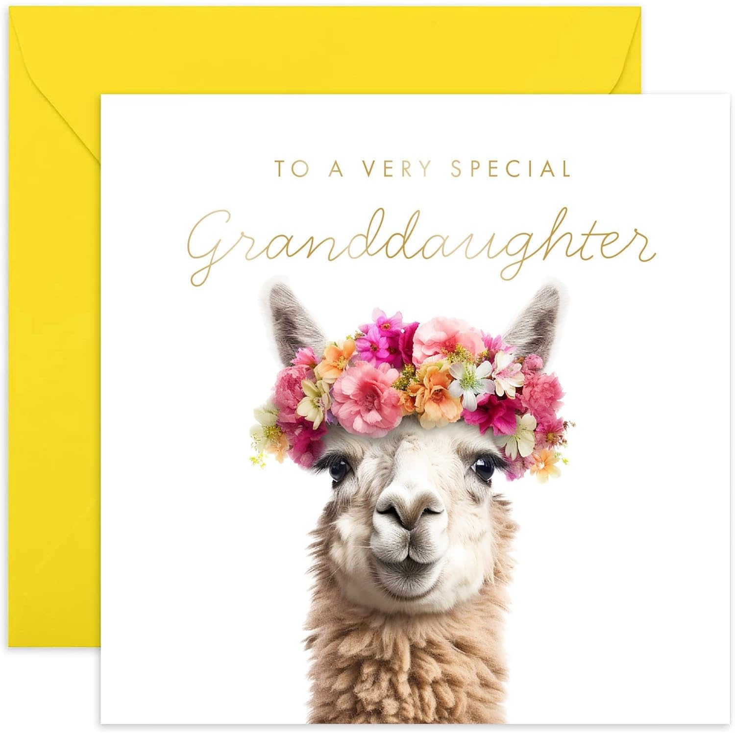 Old English Co. Llama Very Special Granddaughter Card - Llama Floral Cute Birthday Card For Her - Cute Well Done Congratulations Cards For Granddaughter From Grandparents | Blank Inside Envelope…