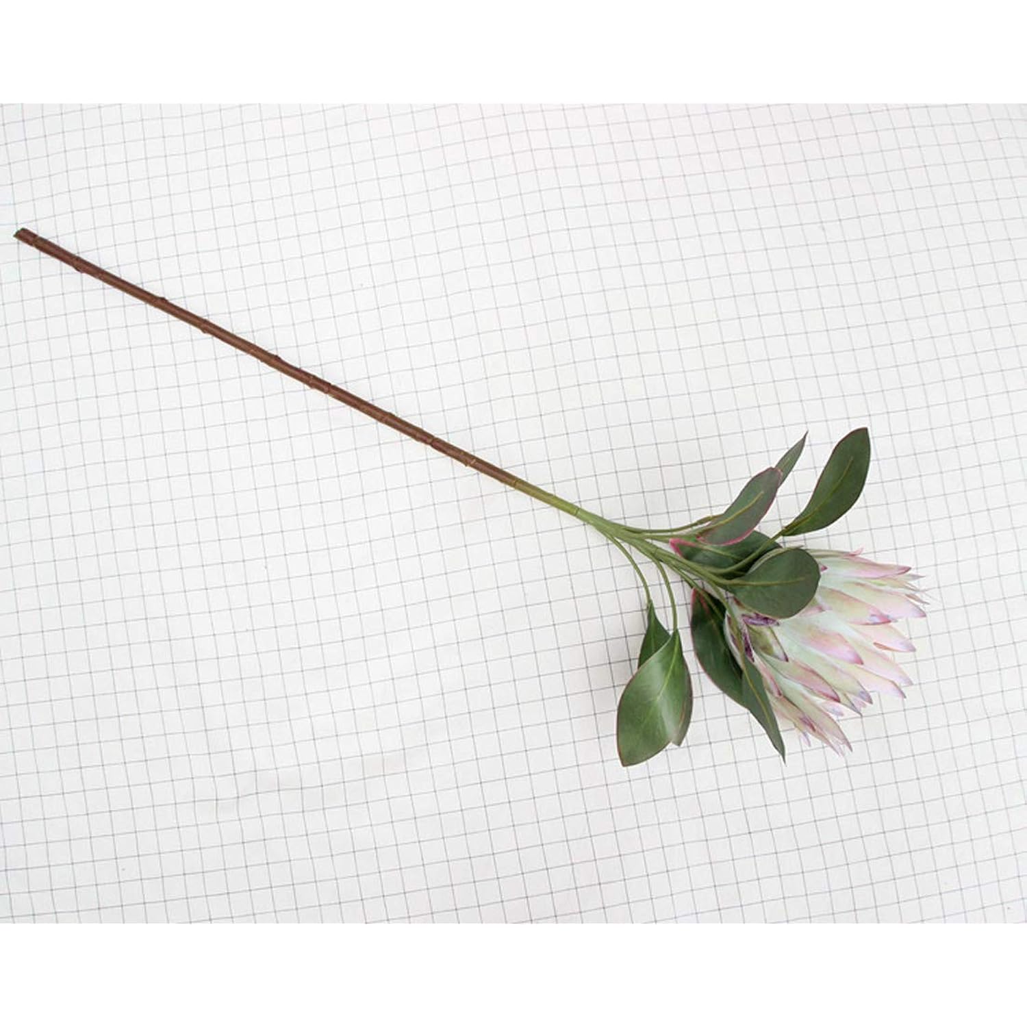 1 Pcs 75 Cm The King Protea (Protea Cynaroides) Artificial Flowers Plants For Home Garden Wedding Party Decoration (Beige, 1)