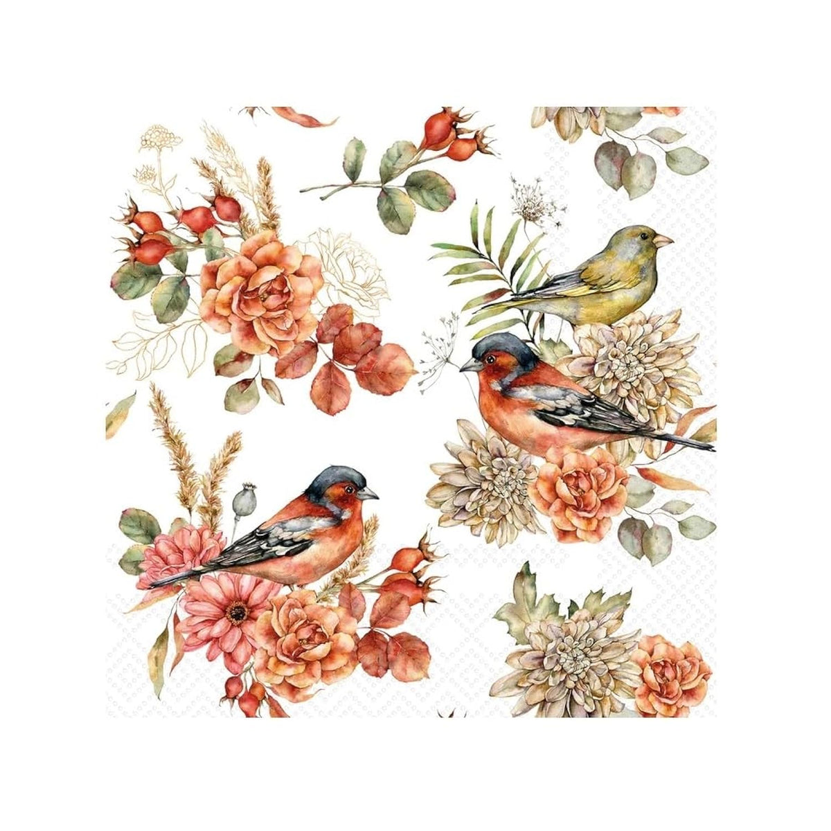 Cocktail Napkins Disposable 3-Ply Paper Party Napkin Pack, 5" X 5", Bird Song, 20-Count