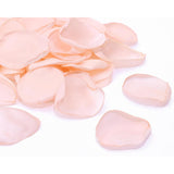 Silk Rose Petals 100Pcs Satin Flower Petals For Wedding Flower Girl Basket Table Centerpieces Scatter Confetti Bridal Shower Party Decoration (Blush)