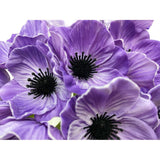 14Pcs Real Touch Anemone Poppy Bouquet For Artificial Flower Decor Kitchen Table Centerpiece Vase Home Greenery Wedding Holding Flowers Backdrop Arch Wall (Purple)
