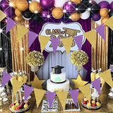 Graduation Party Decorations Purple Gold 2025/Purple Birthday Party Decorations/Purple Gold Graduation Decorations Nyu Lsu/2Pcs Triangle Bunting Banners For Purple Wedding