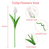 30Pcs Fake Tulips Artificial Flowers With Stems Faux Tulips Bouquet Real Touch Flower For Wedding Home Kitchen Spring Easter Mother'S Day Floral Arrangement Decor (White)