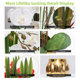 Artificial Orchid Flower Real Touch Faux Orchids In Ceramic Vase Large 22.9'' Fake Flowers White Phalaenopsis Floral For Home Indoor Decor