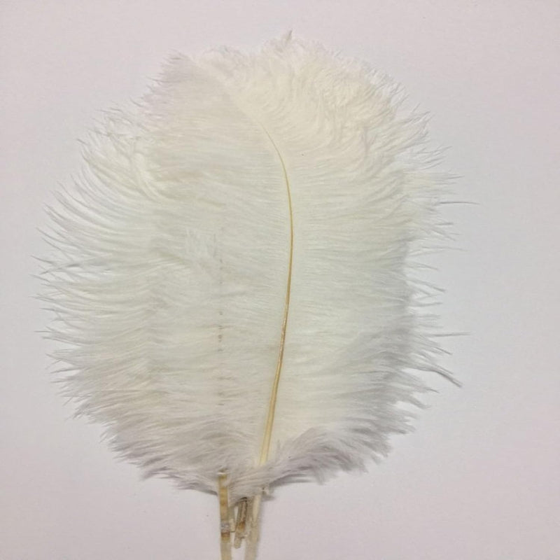 9.9"-11.8" Ostrich Feather Plume Decoration Diy Craft Pack Of 50Pcs (White)