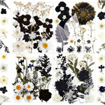 84Pcs Black Dried Pressed Flowers For Resin Molds, Bulk Real Natural Dry Floral For Diy Art Crafts, Epoxy Jewelry, Candle, Soap Making, Nails Decor, Phone Case