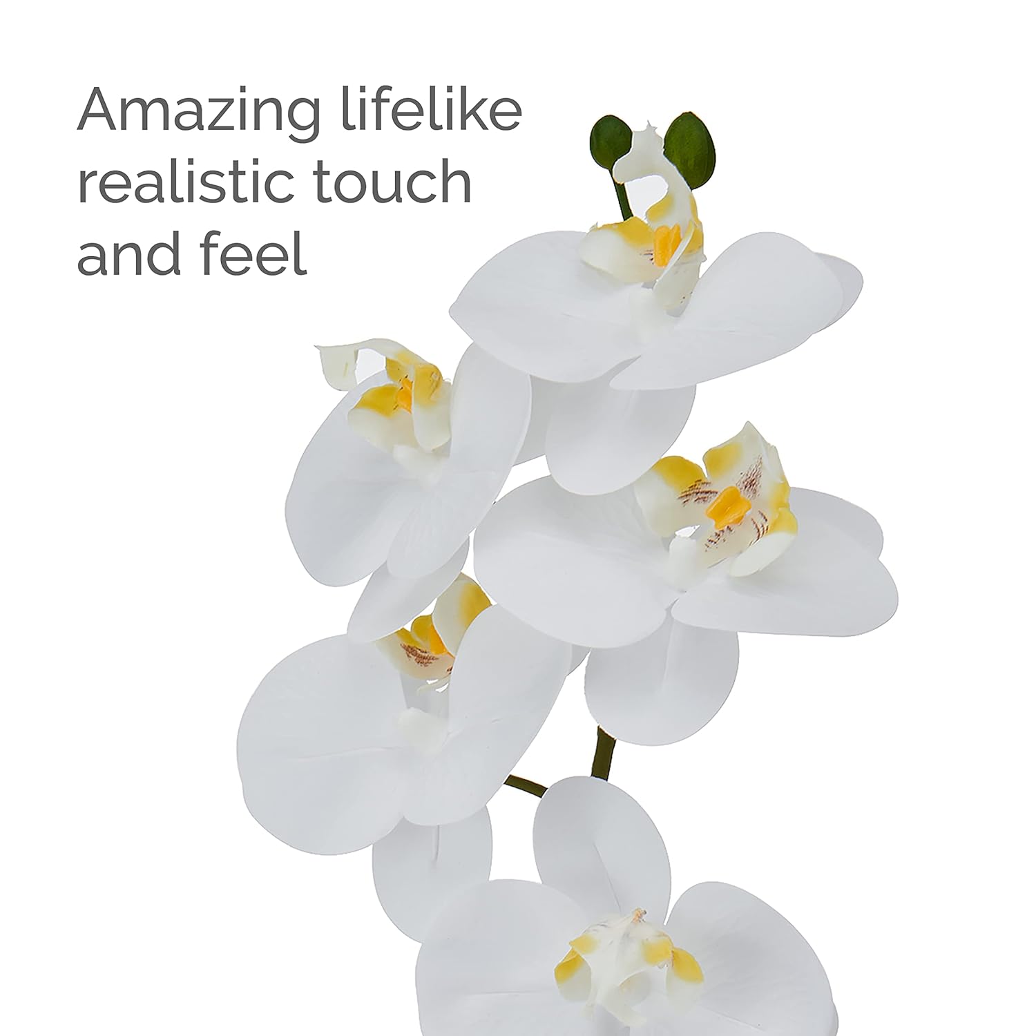 Mikasa Artificial Orchid in Pot, Real Touch Phalaenopsis Orchid, Embossed Weave Cement Pot, 16-Inch Single Branch, White/Yellow