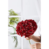 Hydrangea Silk Flowers Heads With 10 Stems Burgundy Artificial Hydrangea Flower Head For Wedding Centerpieces Bouquets Diy Floral Decor Home Decoration