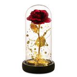 Valentines Day Gifts For Her,Valentines Gifts For Women,Flowers For Delivery Prime,Flower Galaxy Artificial Flower Light Up Rose In A Glass Dome,Anniversary Mothers Day, Birthday Gifts