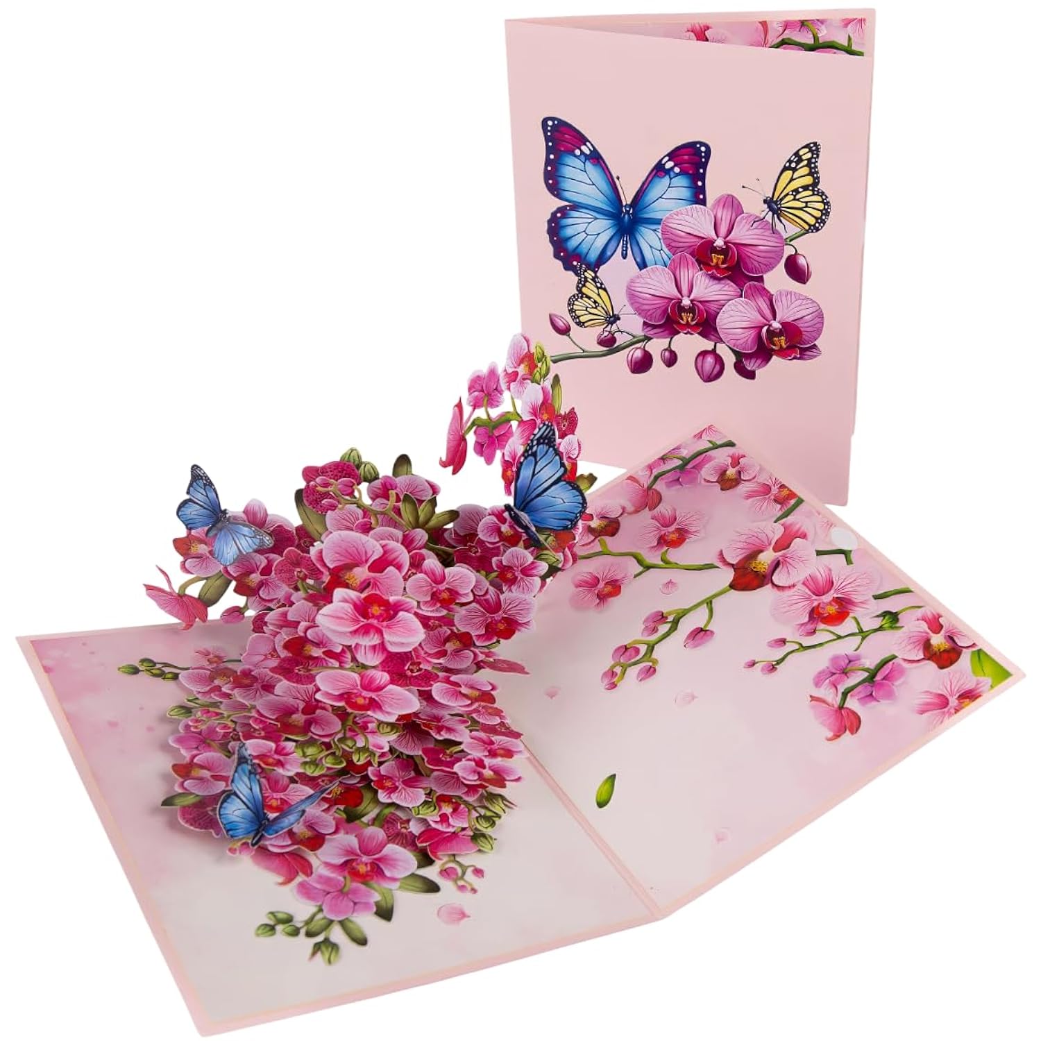 Pop Up Orchid And Butterfly Greeting Card For Birthdays, Thank You, Get Well, Mothers Day Or Any Occasion. By Devine Cards