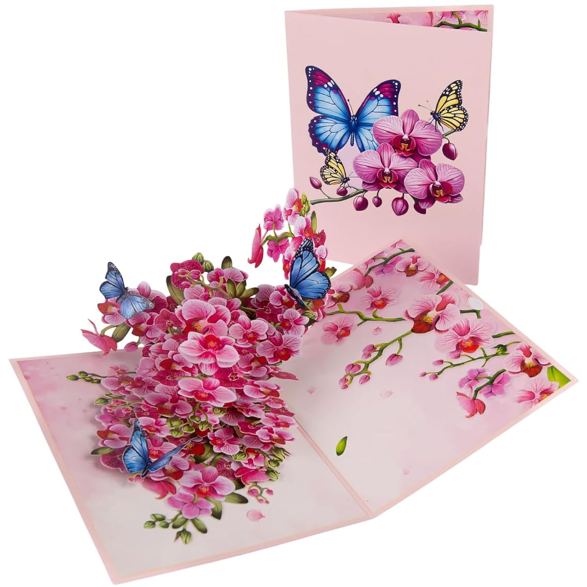 Pop Up Orchid And Butterfly Greeting Card For Birthdays, Thank You, Get Well, Mothers Day Or Any Occasion. By Devine Cards