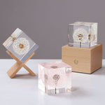 Set Of 4, 3", 2", 1.5", 1", 0.5" Clear Silicone Cube Molds, Large Deep Square Epoxy Resin Mold, Transparent Cube Silicone Molds For Resin Casting