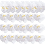 24 Pcs Orchid Decorations Real Touch Pu Artificial Flowers Orchid Heads Fake Phalaenopsis Flower Heads For Diy Craft Home Wedding Decoration