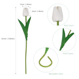 10Pcs White Fake Tulips Faux Tulips With Stems Artificial Flowers For Decoration White Fake Flowers Spring Bouquet For Home Decor Wedding Bridal Party