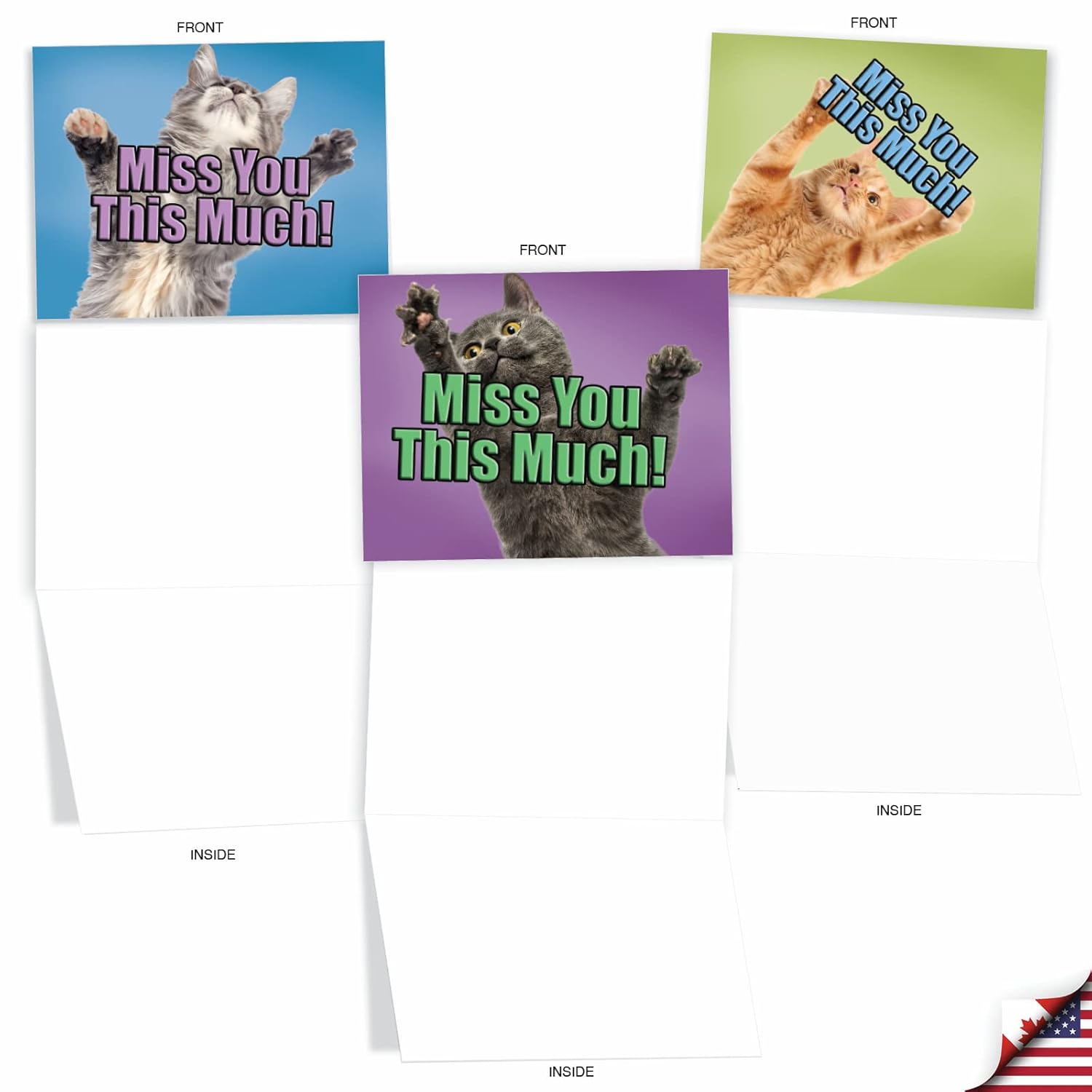 - 10 Blank Miss You Note Cards (4 X 5.12 Inch) - Assorted Boxed Adorable Pet Kittens - Cat Miss You This Much M6599Myb