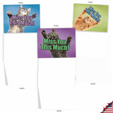 - 10 Blank Miss You Note Cards (4 X 5.12 Inch) - Assorted Boxed Adorable Pet Kittens - Cat Miss You This Much M6599Myb