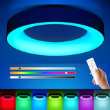 11 Inch RGB LED Ceiling Light with Remote Black Flush Mount Fixture