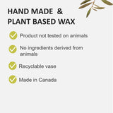 Fruits & Passion Scented Candle – Coriander & Olive Oil, Plant-Based Wax Candle In Recyclable Glass Vase, 35 Hour Burn Time, Clean-Burning Fragrance For Home, 7.7 Oz